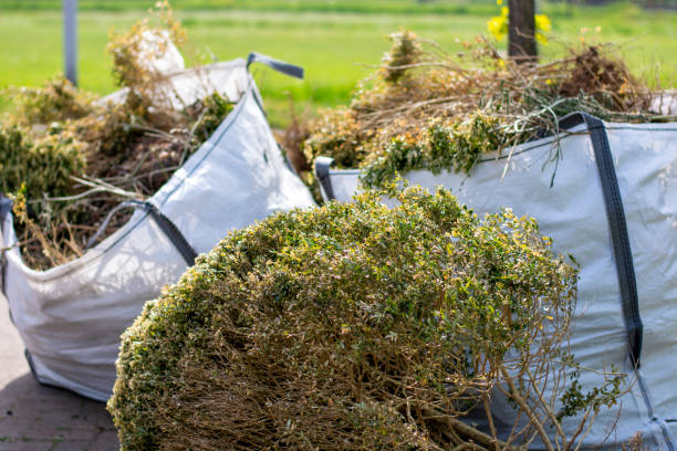 Best Dumpster Rental Services  in Andrews, IN